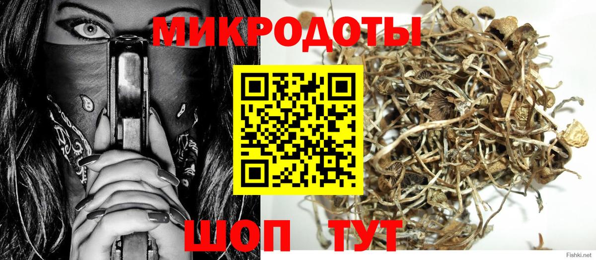 Псилоцибиновые грибы GOLDEN TEACHER  Галлюциногенные грибы Magic Shrooms  Вход с VPN  Лениногорск 