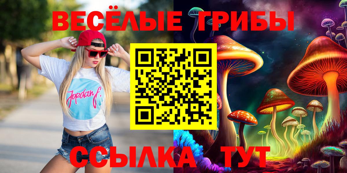 Галлюциногенные грибы GOLDEN TEACHER Лениногорск