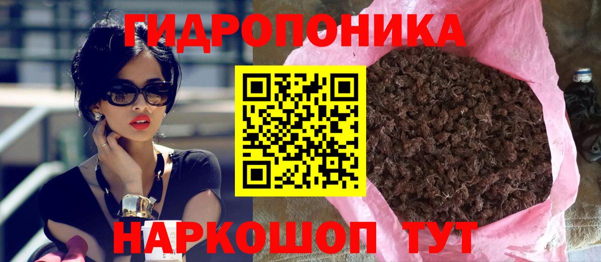 Бошки Шишки план Лениногорск